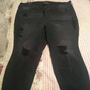 Torrid Jeggings